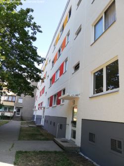 Hinteransicht Hinteransicht