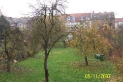 Blick zum Garten Blick zum Garten